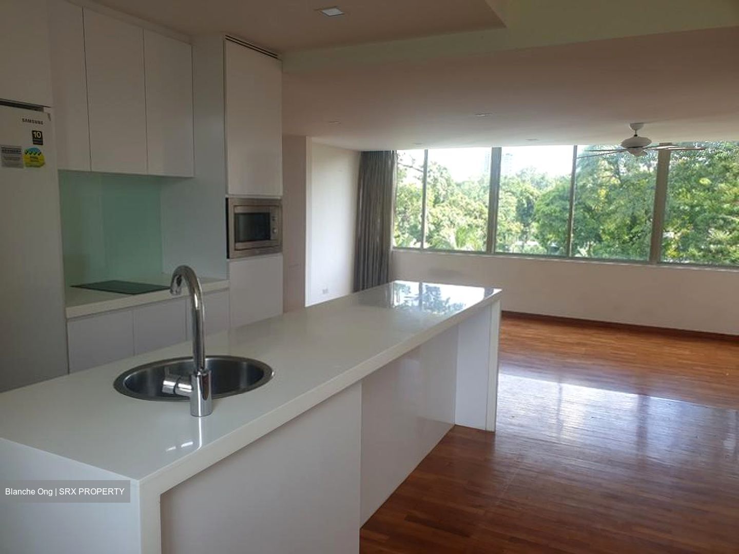 Nassim Regency (D10), Condominium #509218681